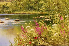 Signature image, click to enlarge