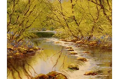 No frame image, click to enlarge