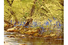 Signature image, click to enlarge