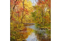 No frame image, click to enlarge