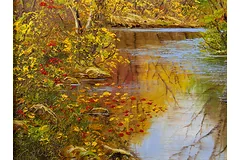 Signature image, click to enlarge