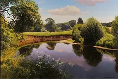 No frame image, click to enlarge