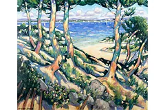 No frame image, click to enlarge