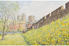 Large image, click to enlarge