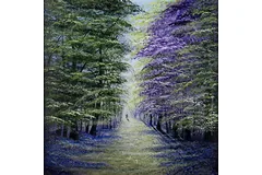 No frame image, click to enlarge
