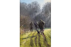 No frame image, click to enlarge