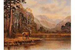 No frame image, click to enlarge