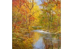 No frame image, click to enlarge