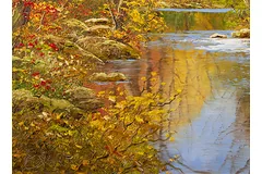 Signature image, click to enlarge