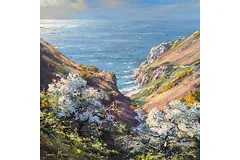 No frame image, click to enlarge