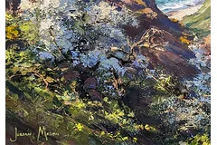 Signature image, click to enlarge