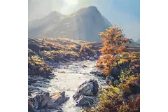 No frame image, click to enlarge