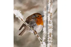 Large image, click to enlarge