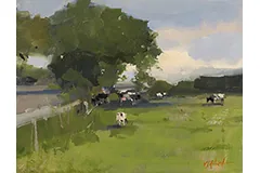 Large image, click to enlarge