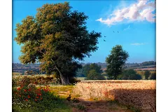 No frame image, click to enlarge