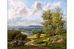 No frame image, click to enlarge