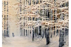 Signature image, click to enlarge