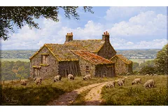 No frame image, click to enlarge