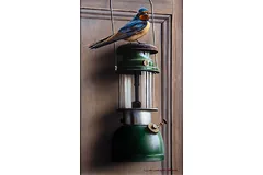 No frame image, click to enlarge