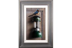 Large image, click to enlarge