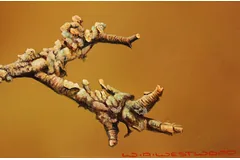 Signature image, click to enlarge