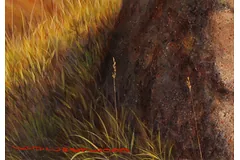 Signature image, click to enlarge