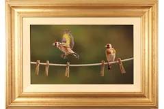 Large image, click to enlarge