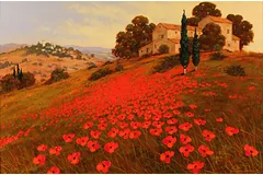No frame image, click to enlarge