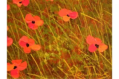 Signature image, click to enlarge