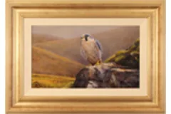 Large image, click to enlarge