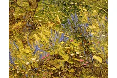 Signature image, click to enlarge