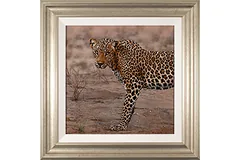 Large image, click to enlarge