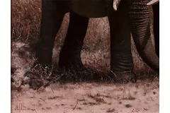 Signature image, click to enlarge