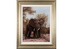 Large image, click to enlarge