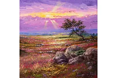 No frame image, click to enlarge