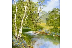 No frame image, click to enlarge