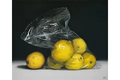 No frame image, click to enlarge