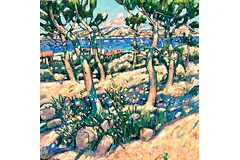 No frame image, click to enlarge