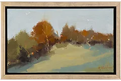 Large image, click to enlarge