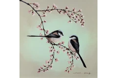 No frame image, click to enlarge