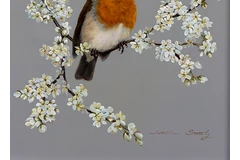 Signature image, click to enlarge