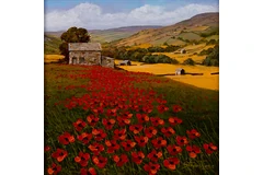 No frame image, click to enlarge