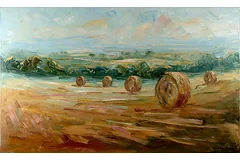 No frame image, click to enlarge