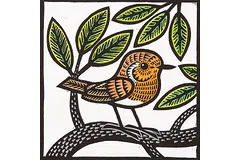 No frame image, click to enlarge