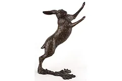 Large image, click to enlarge