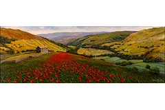 No frame image, click to enlarge