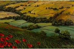 Signature image, click to enlarge