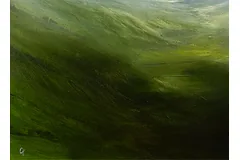 Signature image, click to enlarge