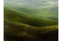 Signature image, click to enlarge