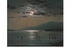 No frame image, click to enlarge